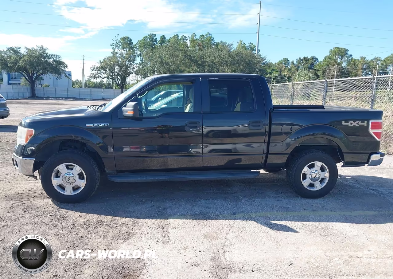 2014 Ford F-150 Xlt VIN:1FTFW1EF0EKD93599 - 14