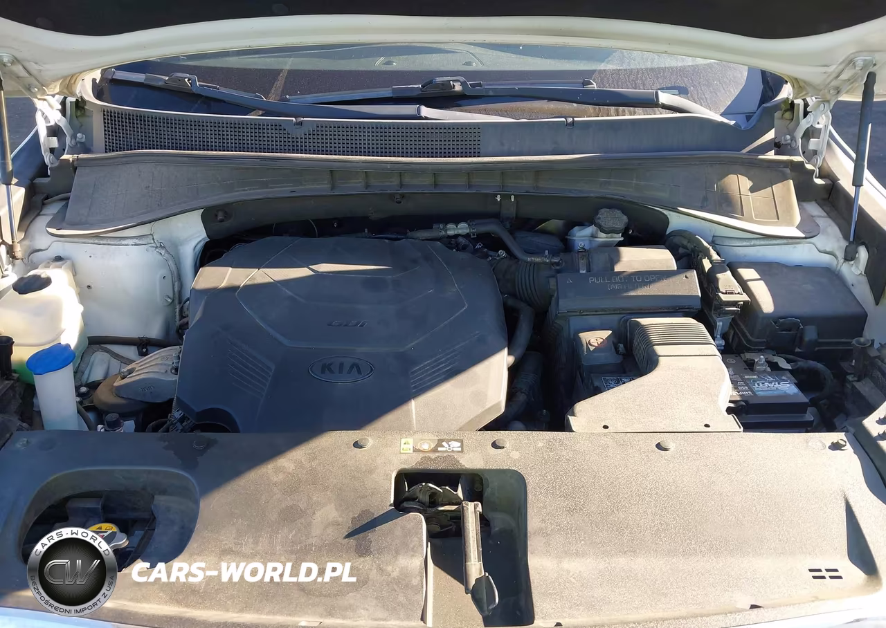 2019 Kia Sorento 3.3L Lx VIN:5XYPGDA50KG452071 - 10