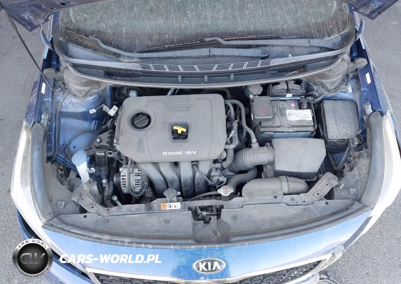 2017 Kia Forte Lx VIN:3KPFK4A72HE080055 - 10