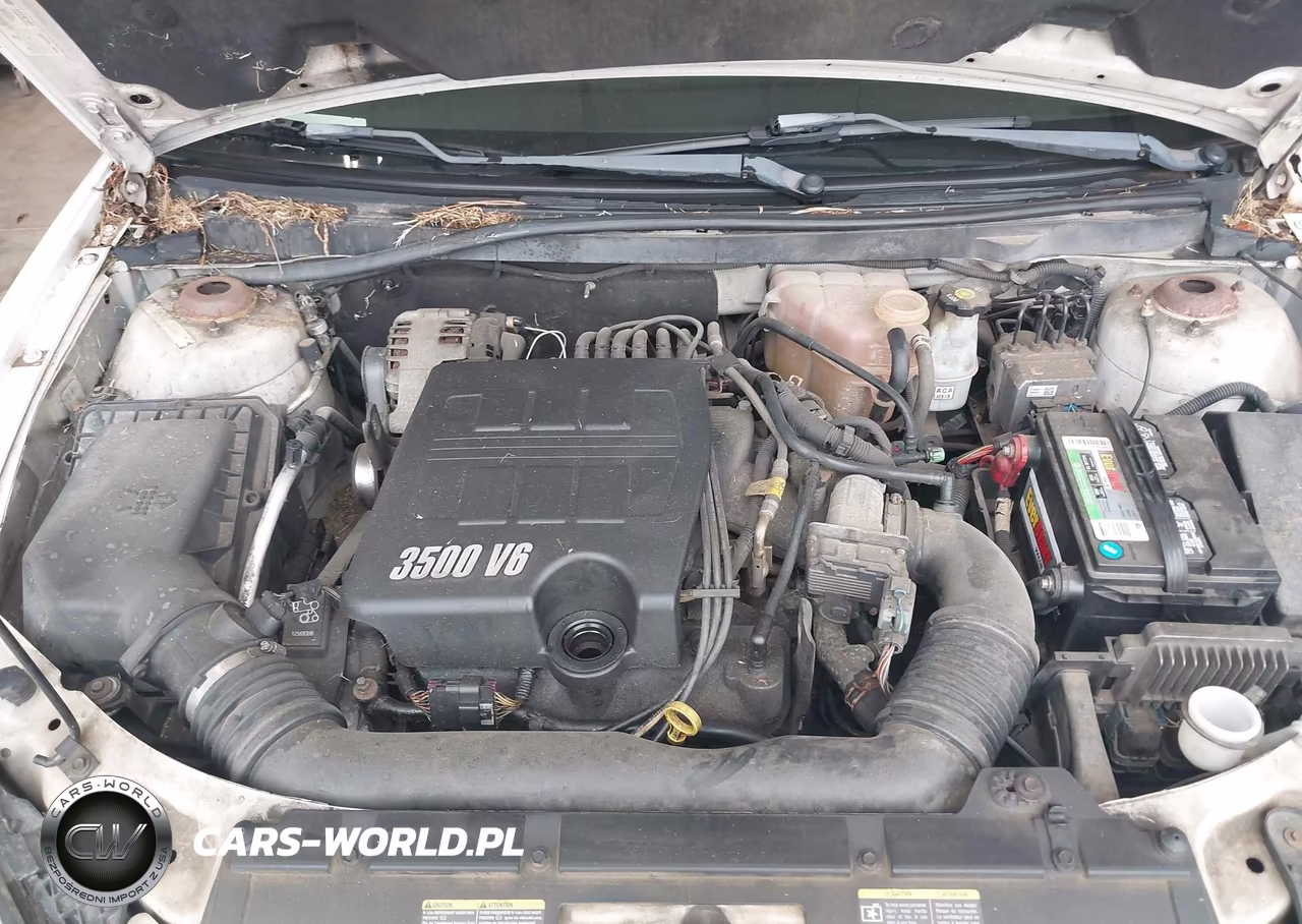 2006 Pontiac G6 VIN:1G2ZG558X64265576 - 10