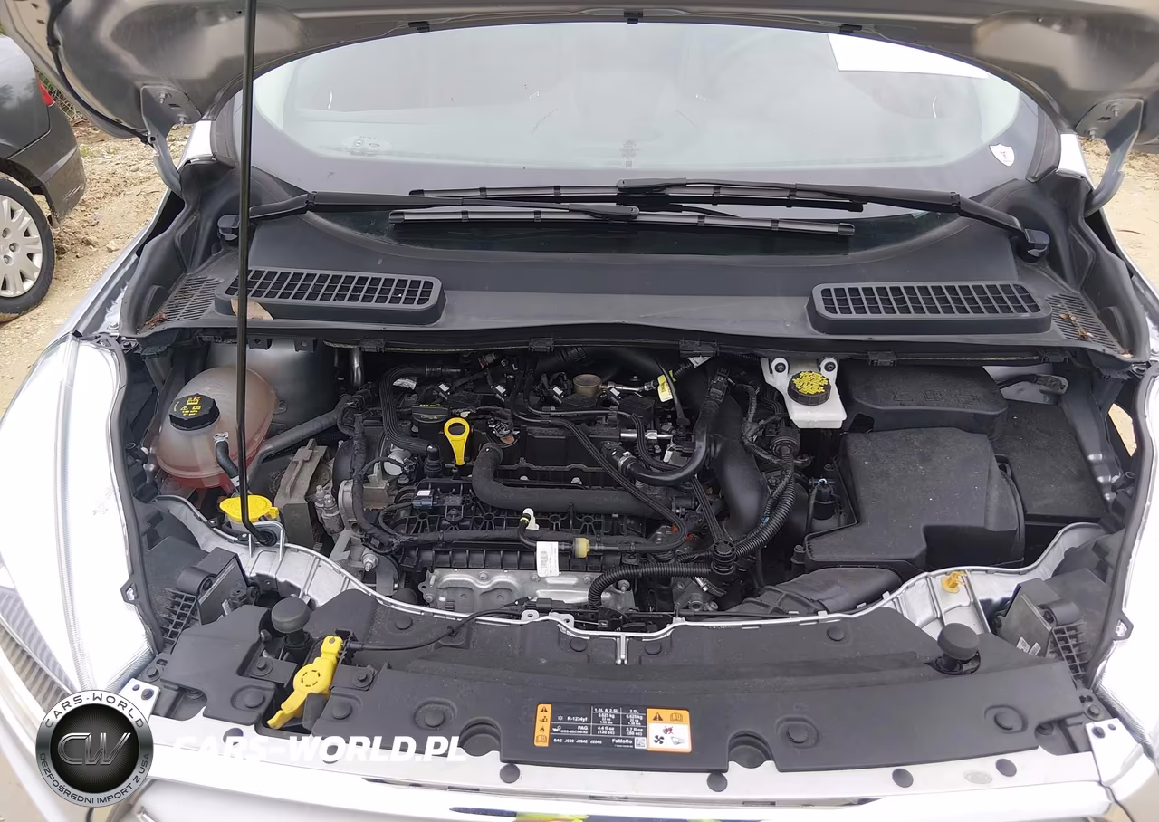 2019 Ford Escape Sel VIN:1FMCU9HDXKUB25026 - 10