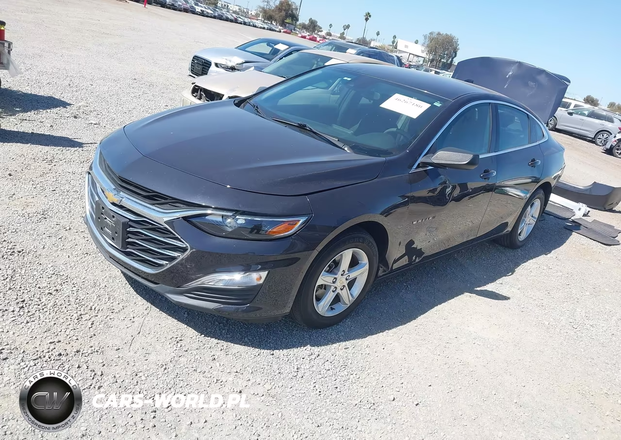 2023 Chevrolet Malibu Fwd 1Fl VIN:1G1ZC5ST9PF124660 - 2