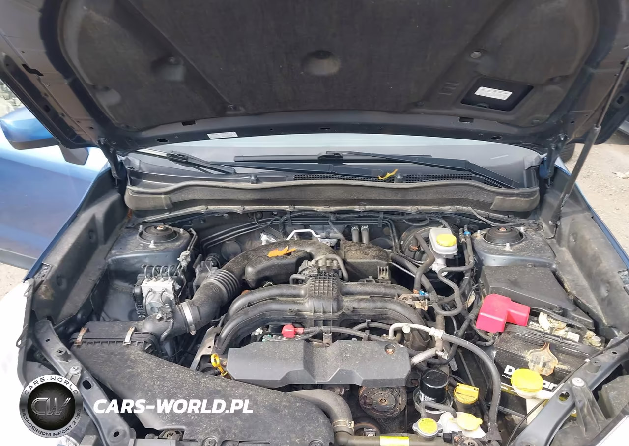 2015 Subaru Forester 2.5I Premium VIN:JF2SJADCXFH424362 - 10