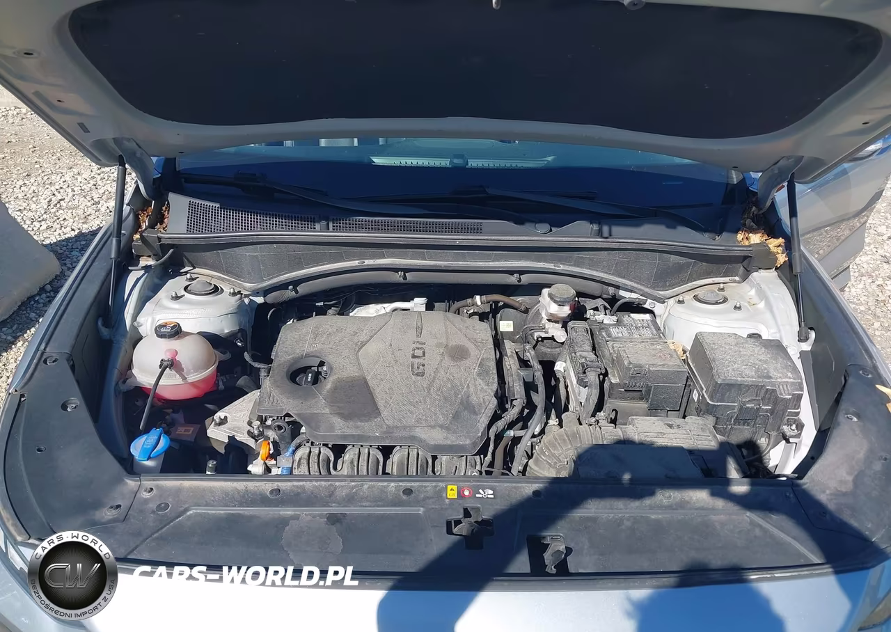 2021 Hyundai Santa Fe Sel VIN:5NMS3DAJXMH321032 - 10