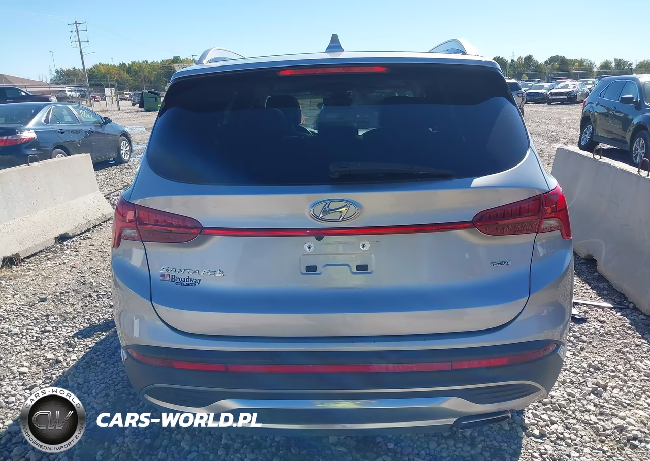 2021 Hyundai Santa Fe Sel VIN:5NMS3DAJXMH321032 - 17