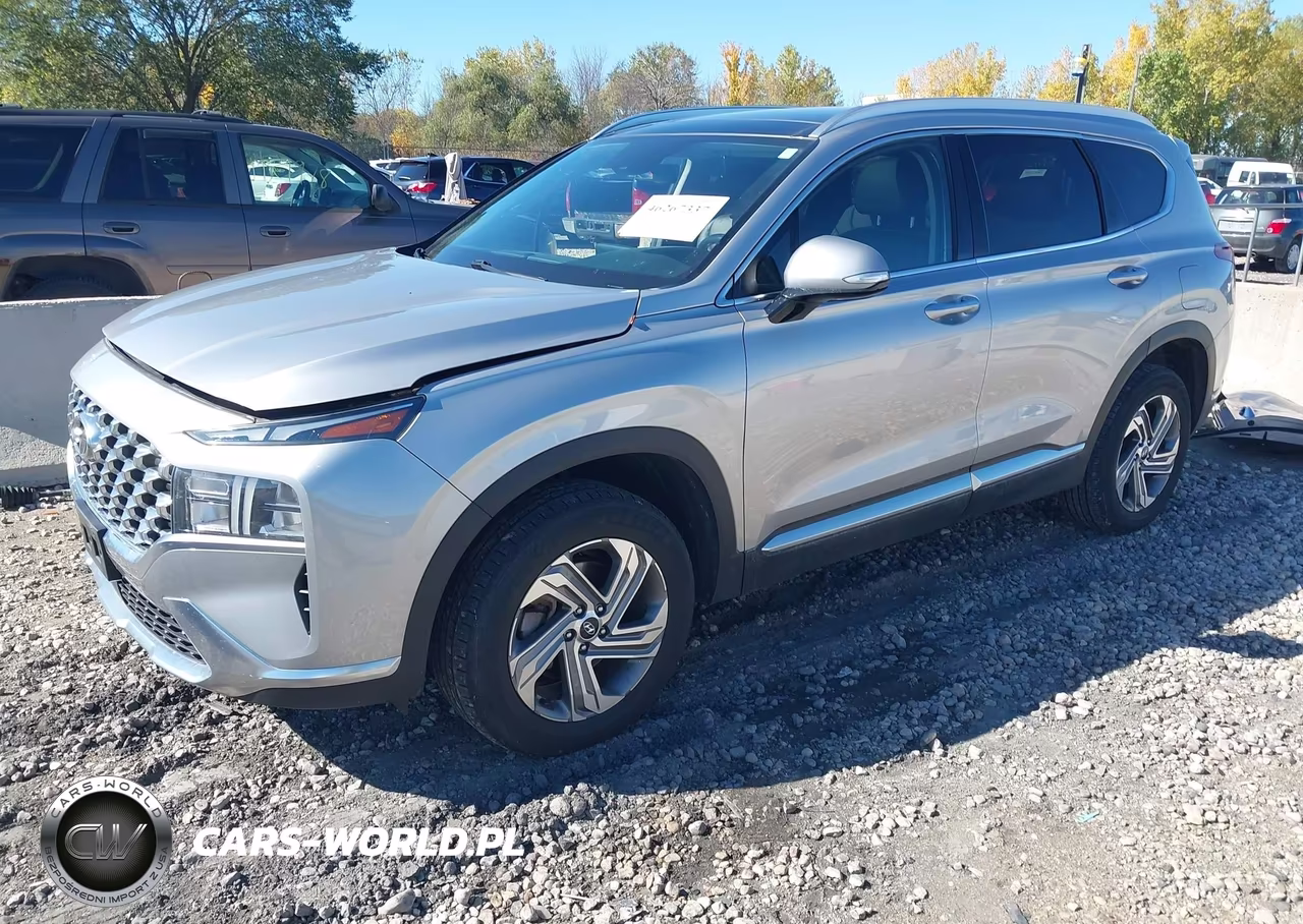 2021 Hyundai Santa Fe Sel VIN:5NMS3DAJXMH321032 - 2