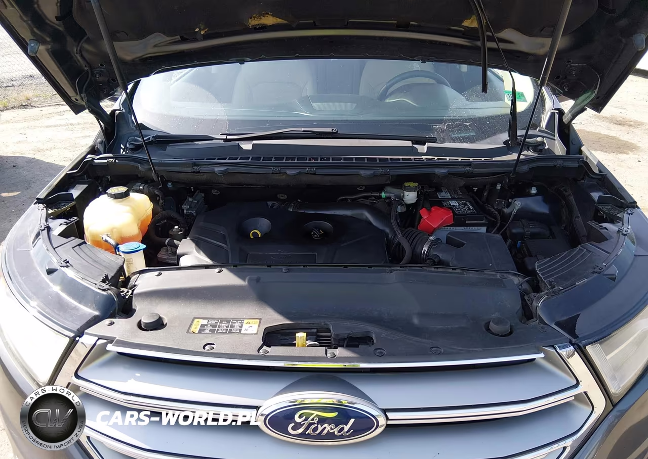 2016 Ford Edge Sel VIN:2FMPK4J91GBC39199 - 10