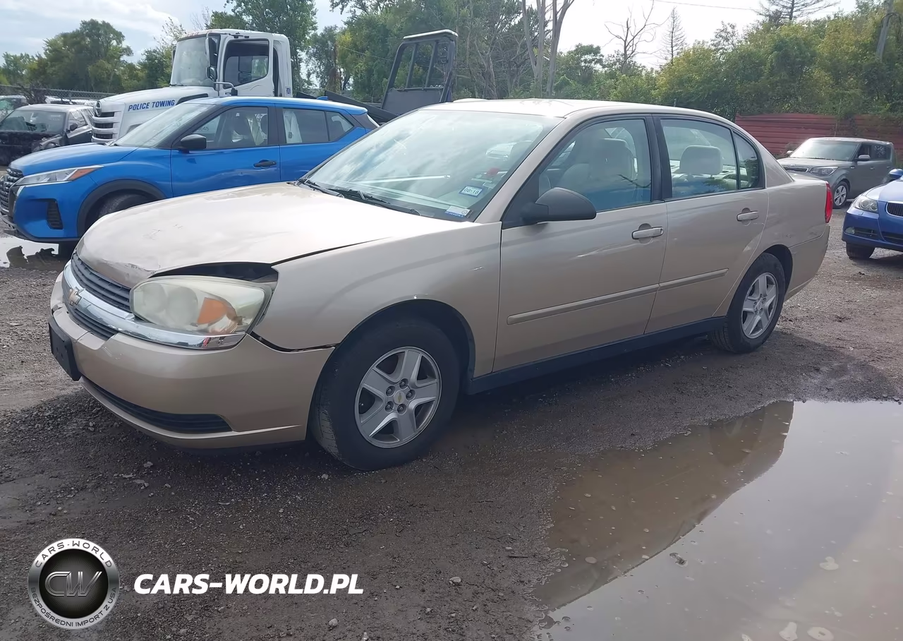 2005 Chevrolet Malibu Ls VIN:1G1ZT548X5F184789 - 2