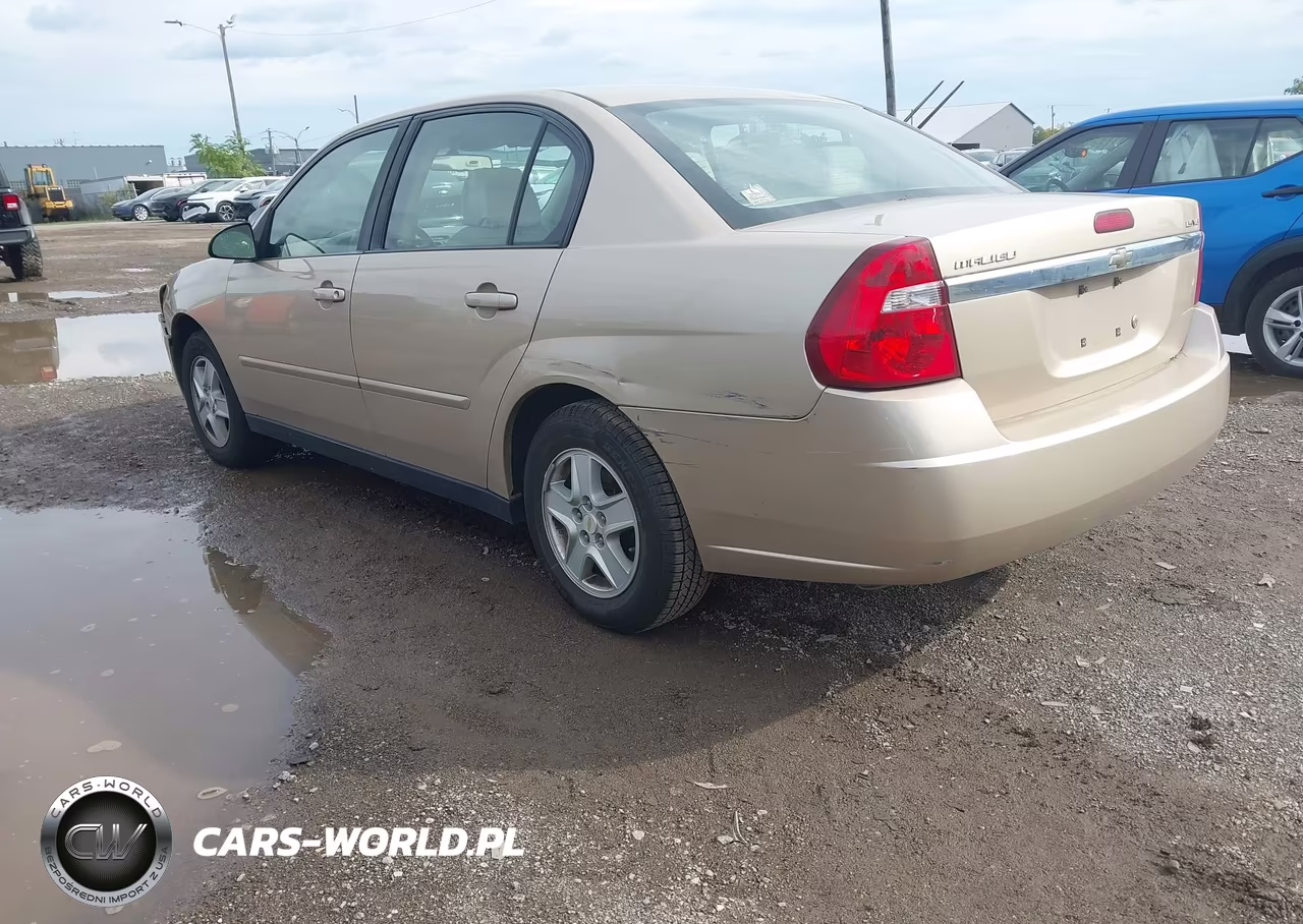 2005 Chevrolet Malibu Ls VIN:1G1ZT548X5F184789 - 3