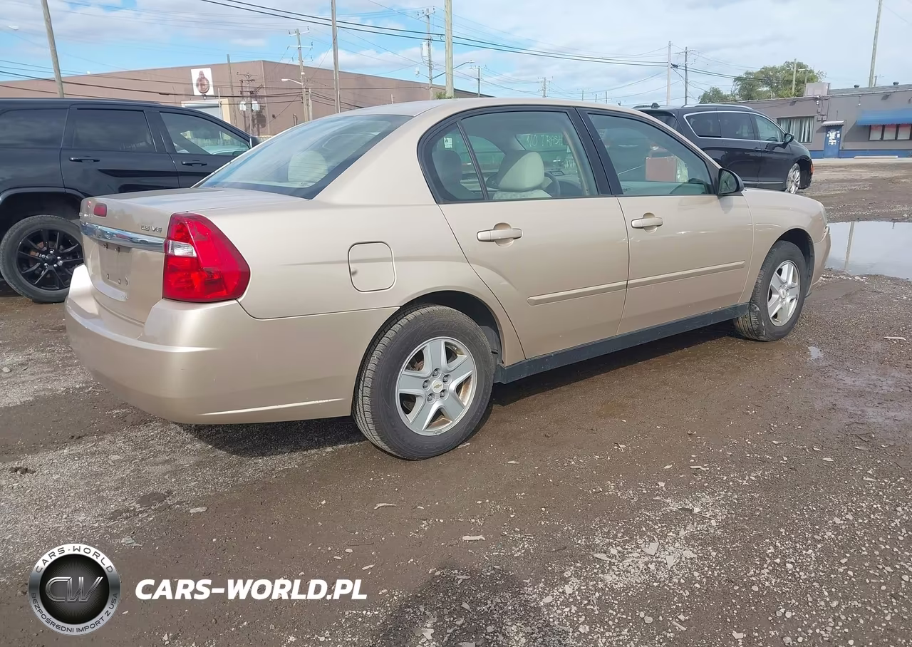 2005 Chevrolet Malibu Ls VIN:1G1ZT548X5F184789 - 4