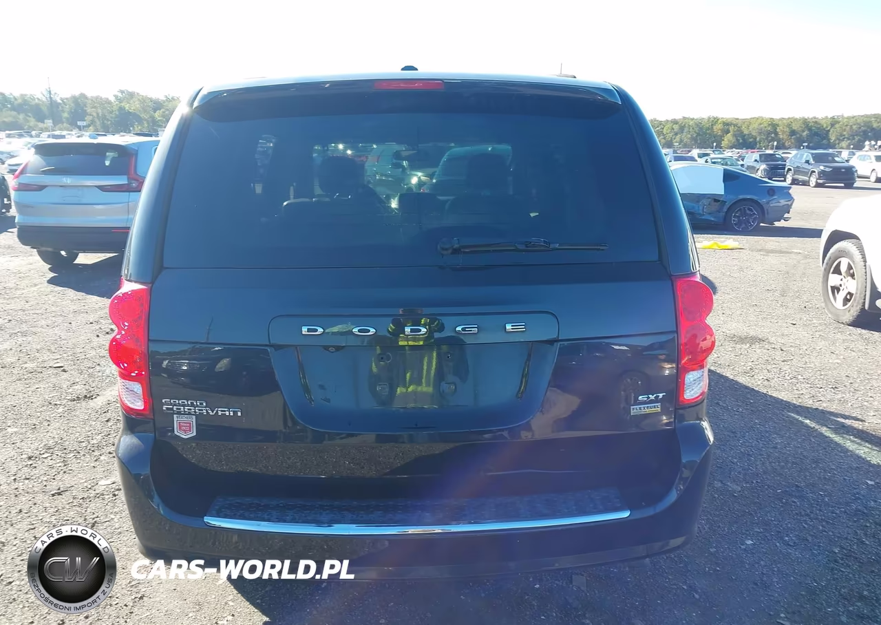 2017 Dodge Grand Caravan Sxt VIN:2C4RDGCG3HR615172 - 16