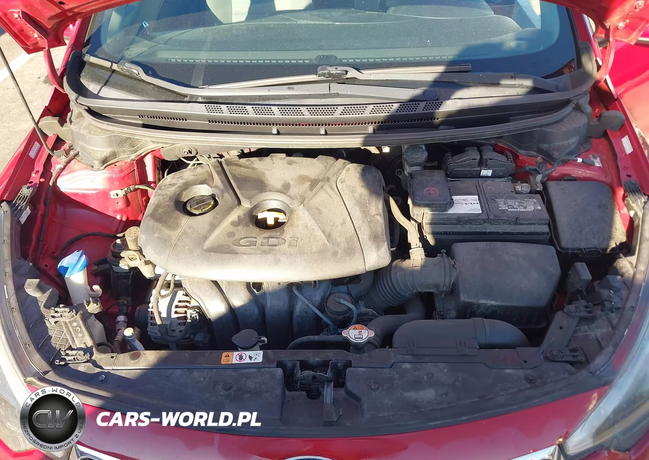 2014 Kia Forte Ex VIN:KNAFX4A82E5118804 - 10