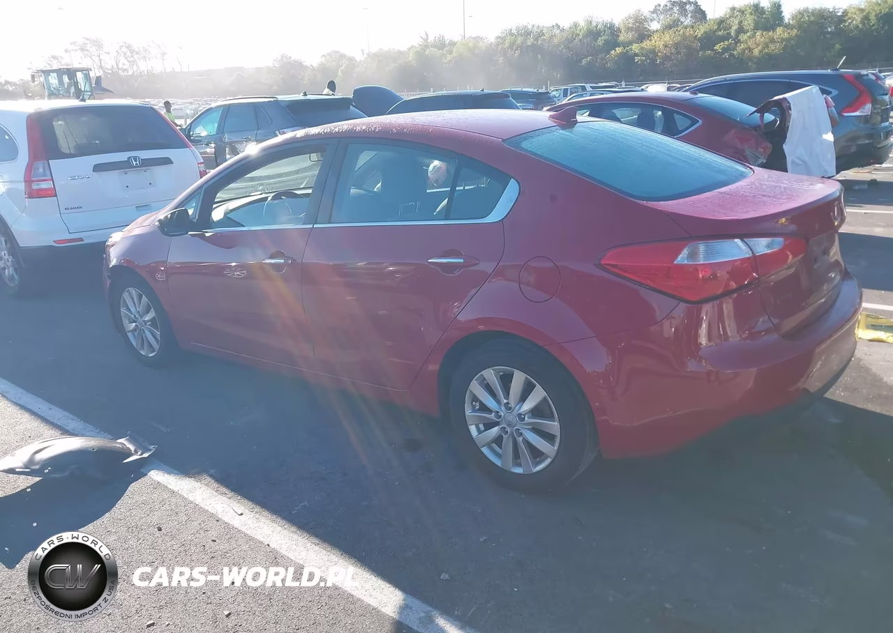 2014 Kia Forte Ex VIN:KNAFX4A82E5118804 - 3