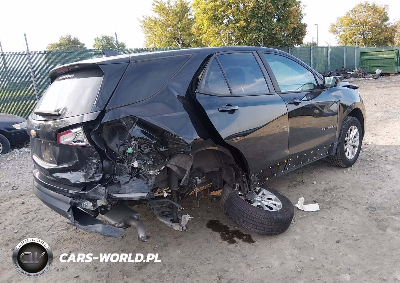 2020 Chevrolet Equinox Fwd Ls VIN:2GNAXHEV8L6239575 - 4