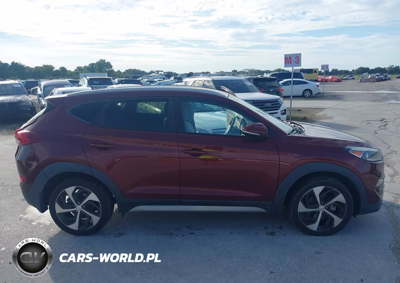 2017 Hyundai Tucson Sport VIN:KM8J33A21HU323681 - 13