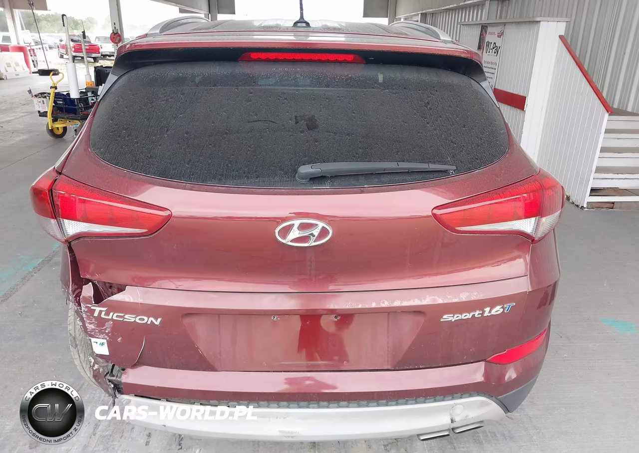 2017 Hyundai Tucson Sport VIN:KM8J33A21HU323681 - 16