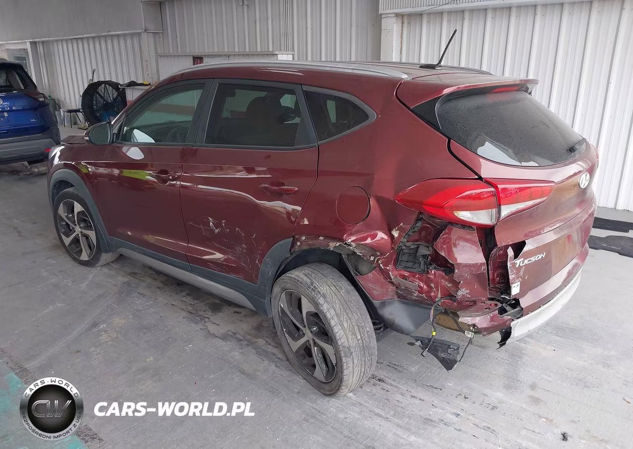 2017 Hyundai Tucson Sport VIN:KM8J33A21HU323681 - 3