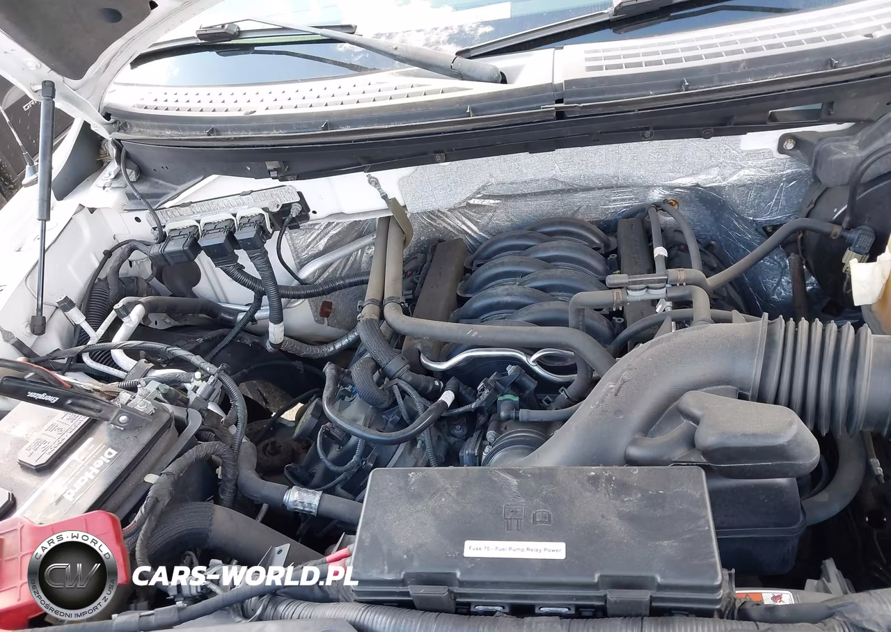2013 Ford F-150 Stx VIN:1FTFX1EF9DFB94541 - 10