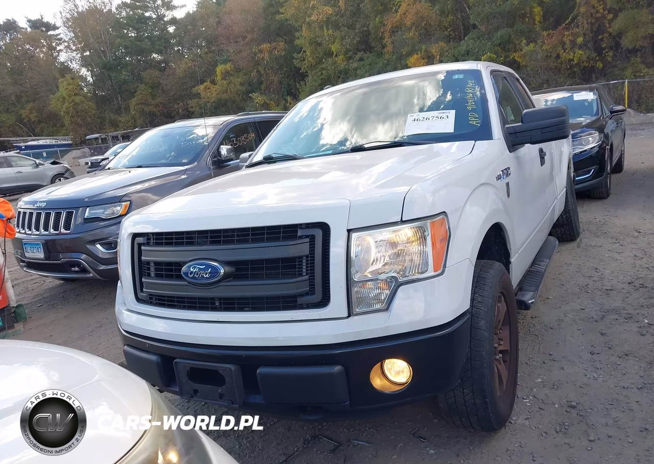 2013 Ford F-150 Stx VIN:1FTFX1EF9DFB94541 - 12