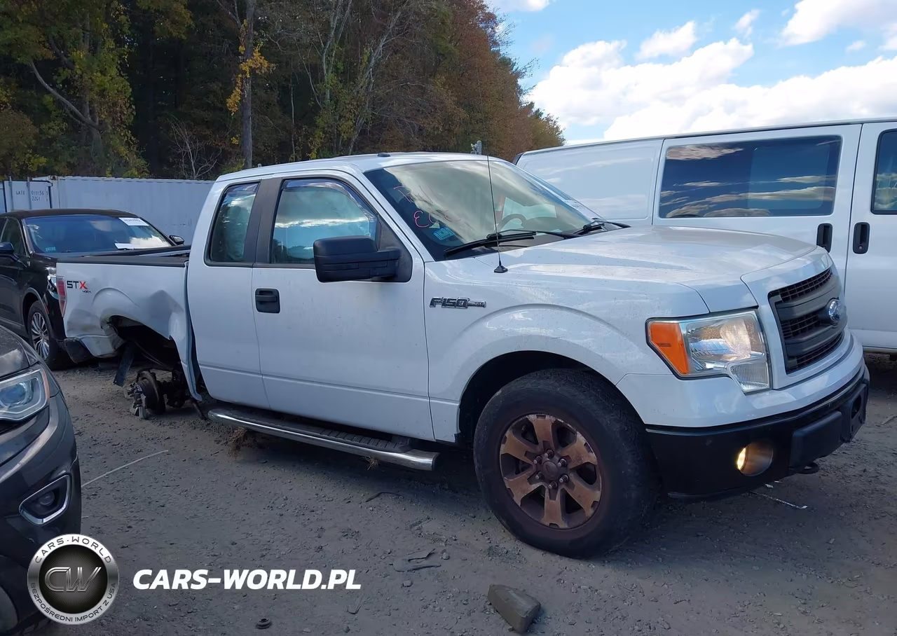 2013 Ford F-150 Stx VIN:1FTFX1EF9DFB94541 - 13