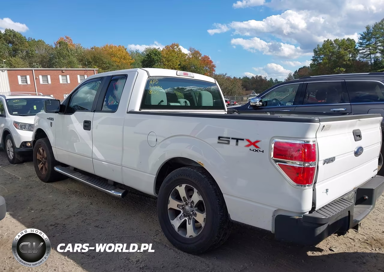 2013 Ford F-150 Stx VIN:1FTFX1EF9DFB94541 - 14