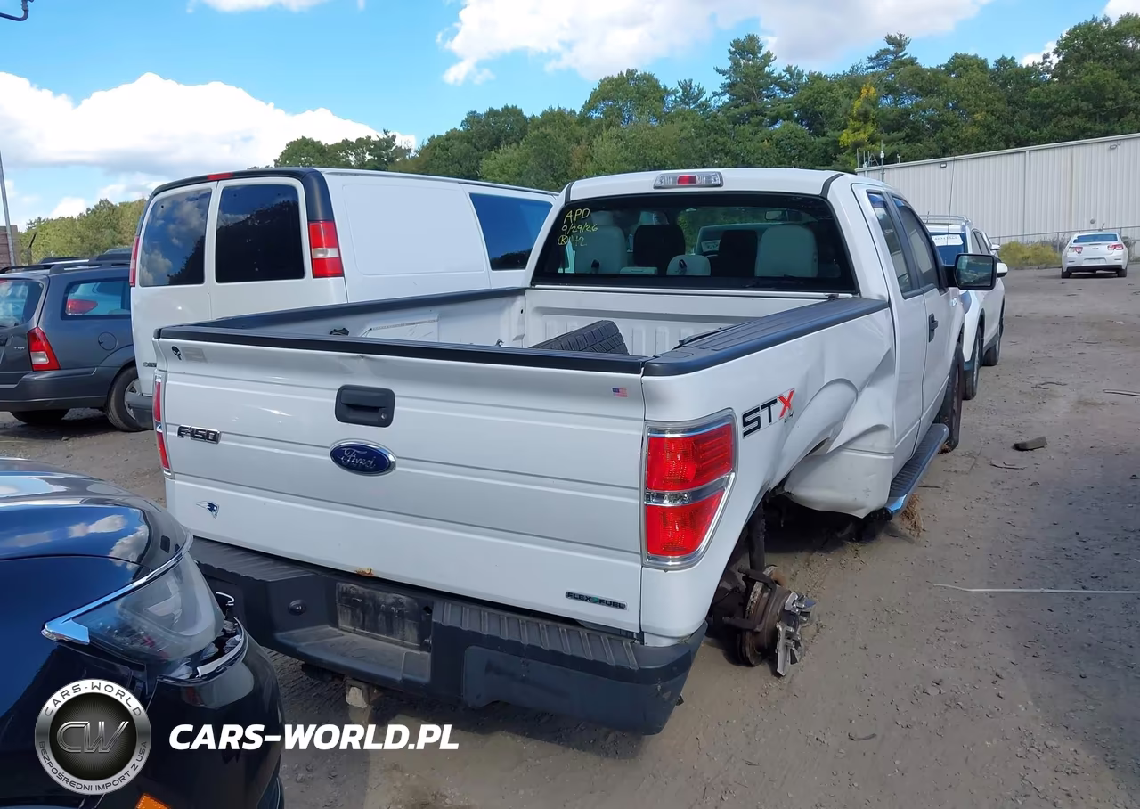 2013 Ford F-150 Stx VIN:1FTFX1EF9DFB94541 - 16