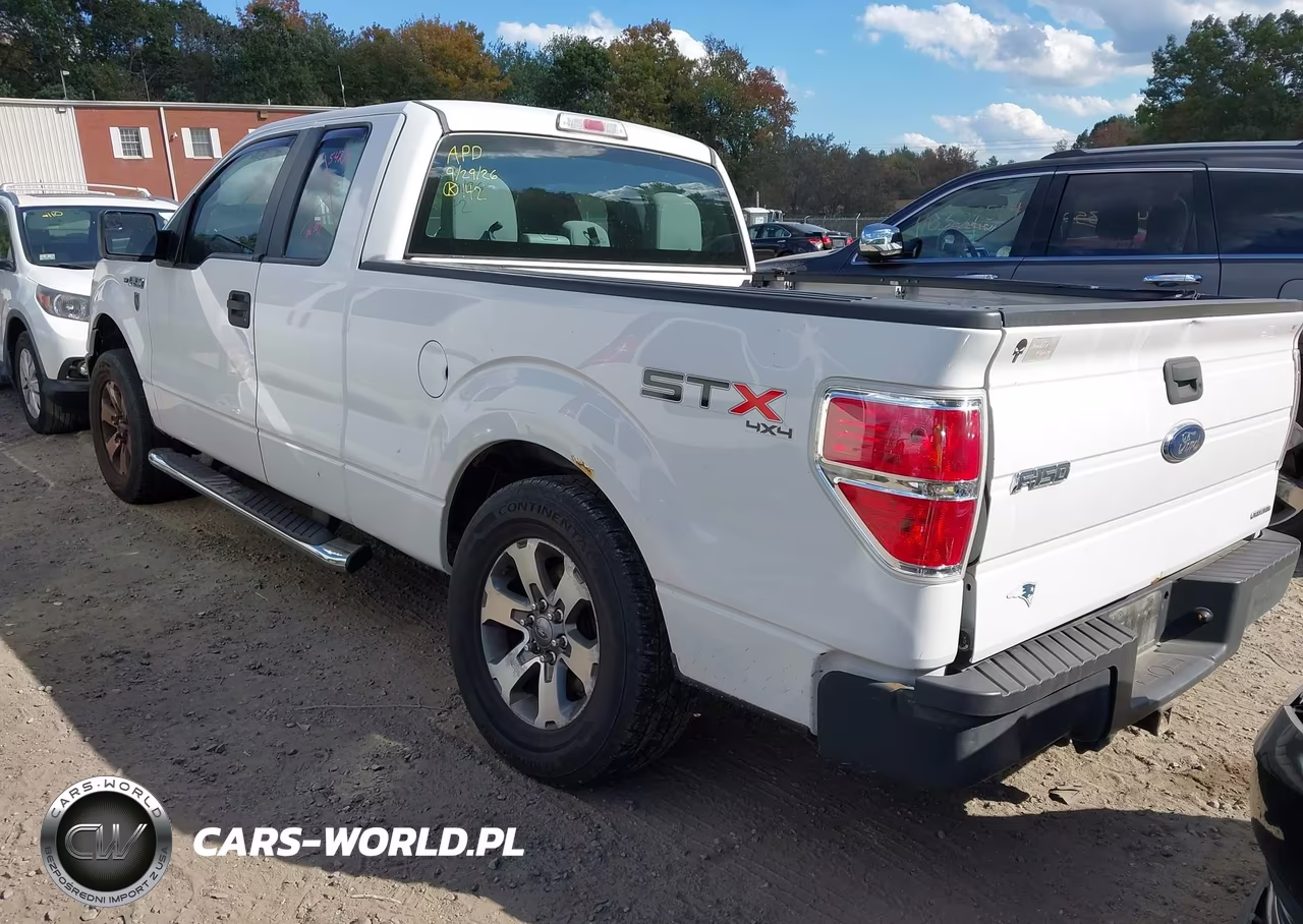 2013 Ford F-150 Stx VIN:1FTFX1EF9DFB94541 - 3