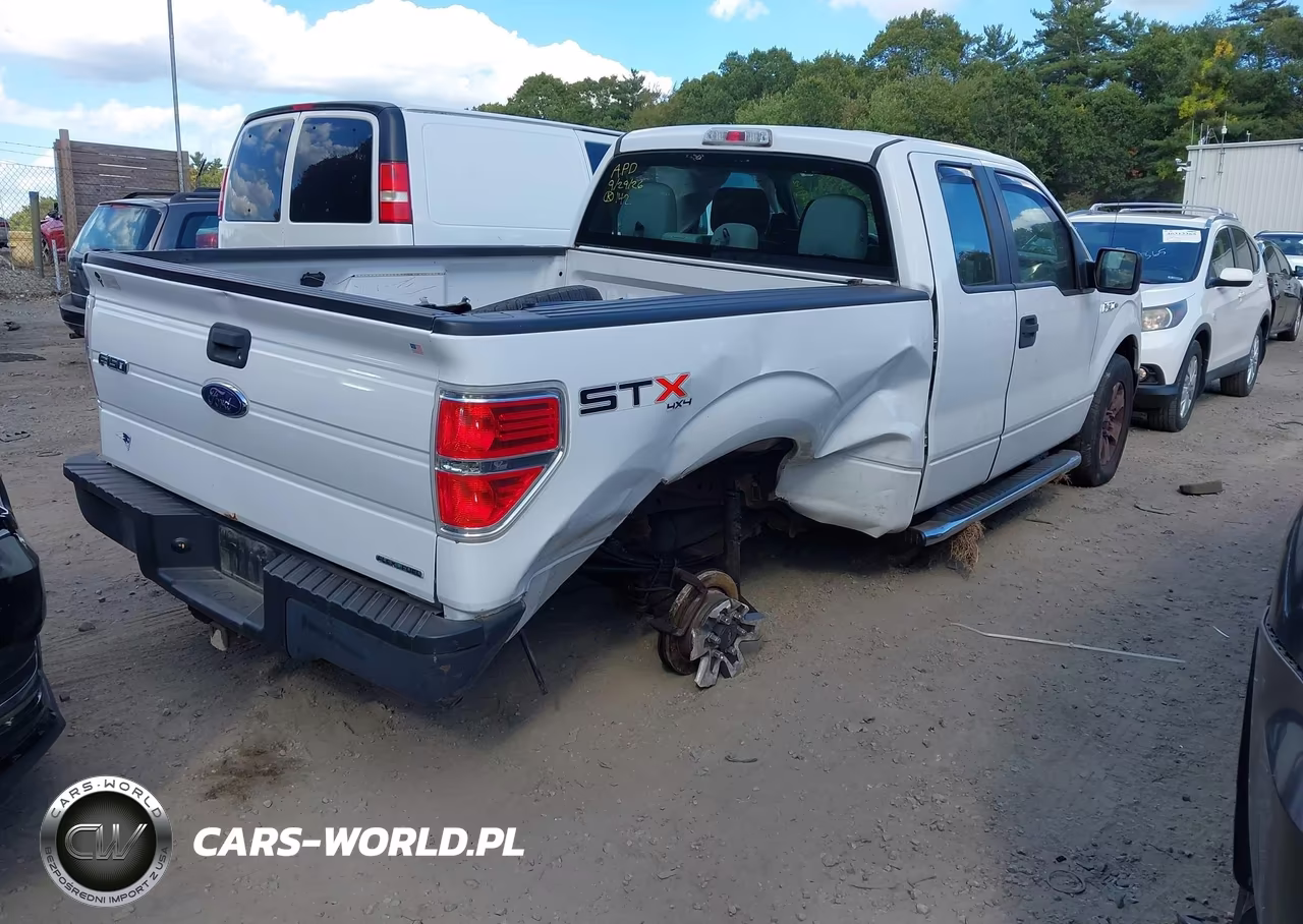 2013 Ford F-150 Stx VIN:1FTFX1EF9DFB94541 - 4
