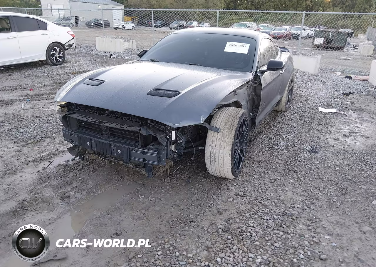2021 Ford Mustang Gt Fastback VIN:1FA6P8CF8M5125900 - 2