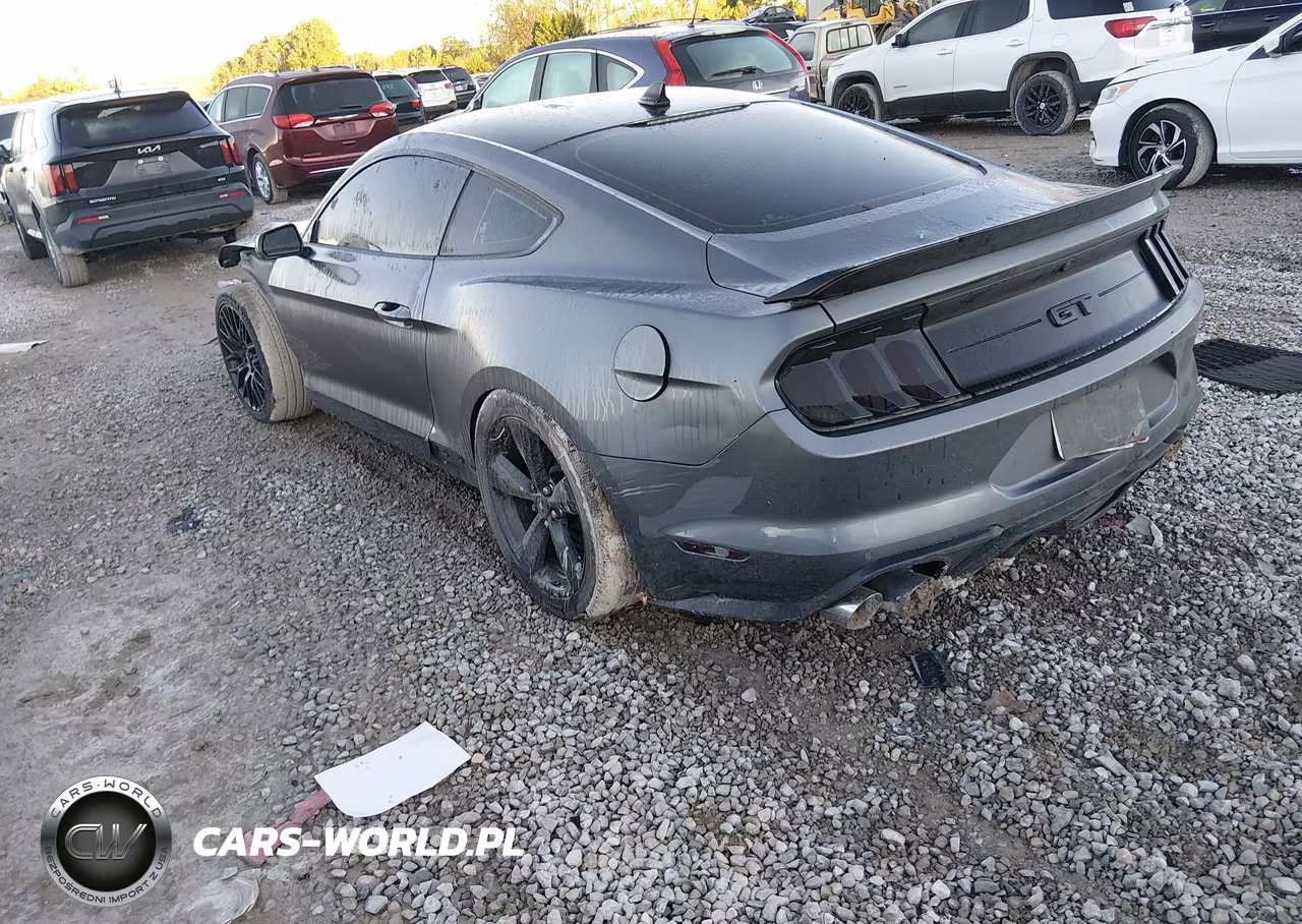2021 Ford Mustang Gt Fastback VIN:1FA6P8CF8M5125900 - 3