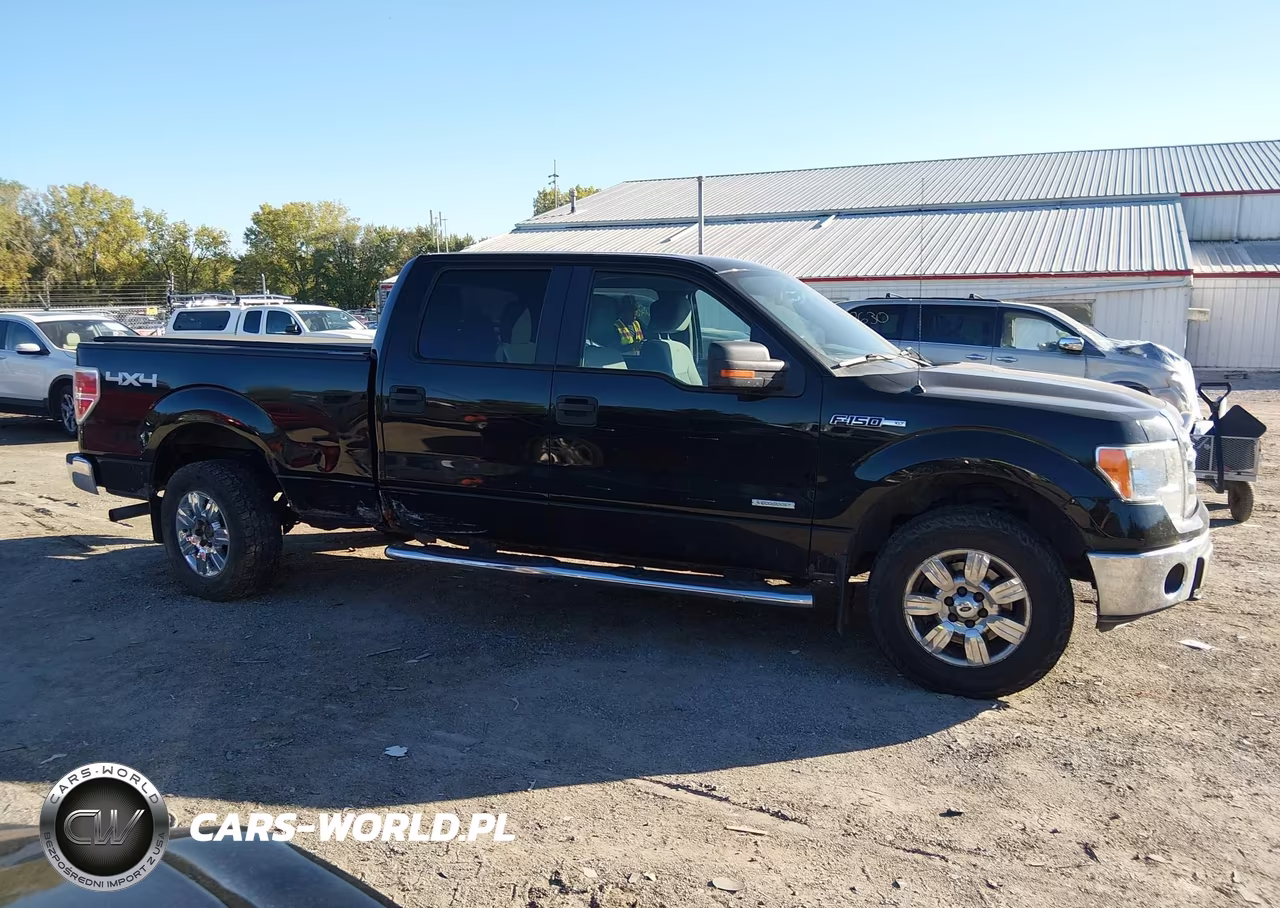 2011 Ford F-150 Xlt VIN:1FTFW1ET5BFC33907 - 13