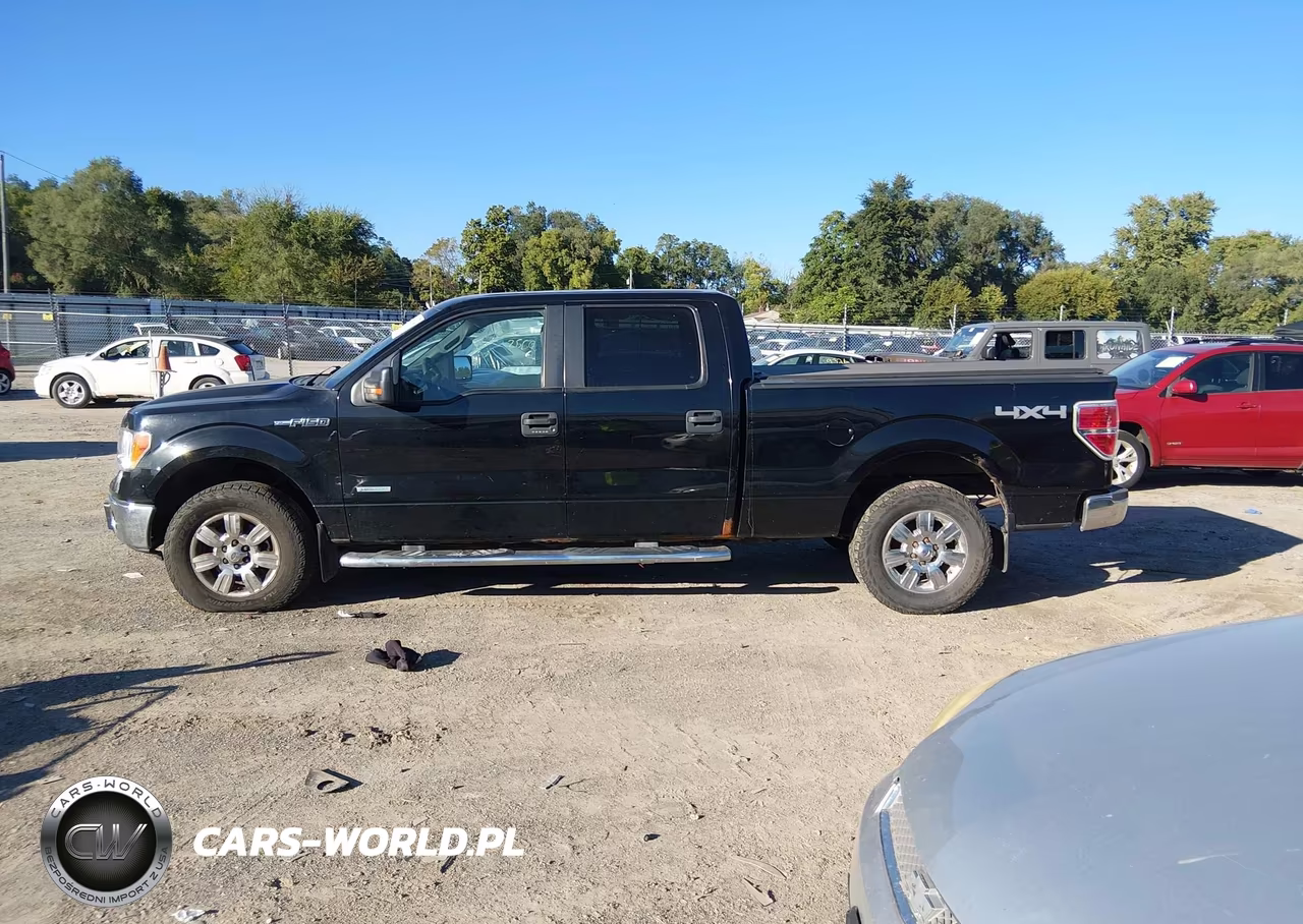 2011 Ford F-150 Xlt VIN:1FTFW1ET5BFC33907 - 14