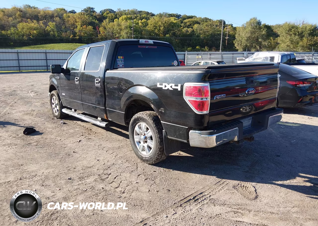 2011 Ford F-150 Xlt VIN:1FTFW1ET5BFC33907 - 3