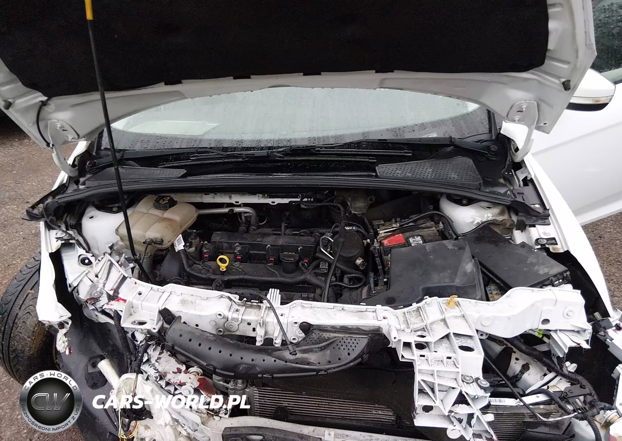 2014 Ford Focus Se VIN:1FADP3K28EL302371 - 10