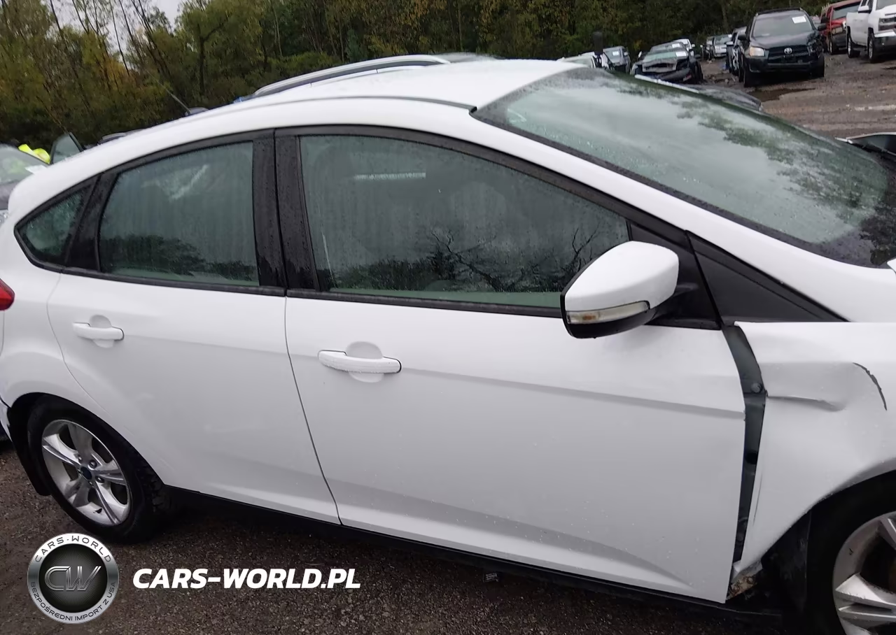 2014 Ford Focus Se VIN:1FADP3K28EL302371 - 13