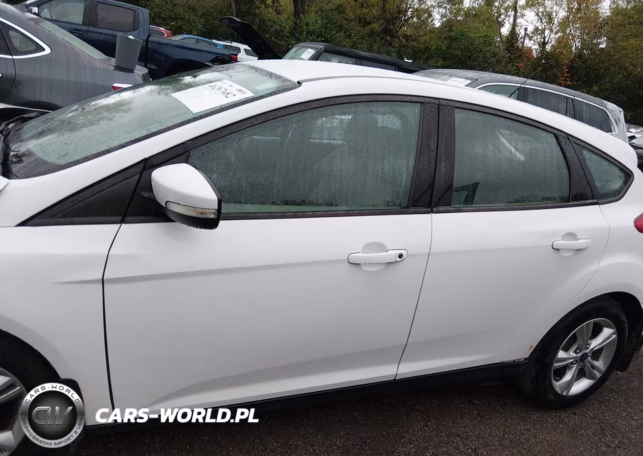 2014 Ford Focus Se VIN:1FADP3K28EL302371 - 14