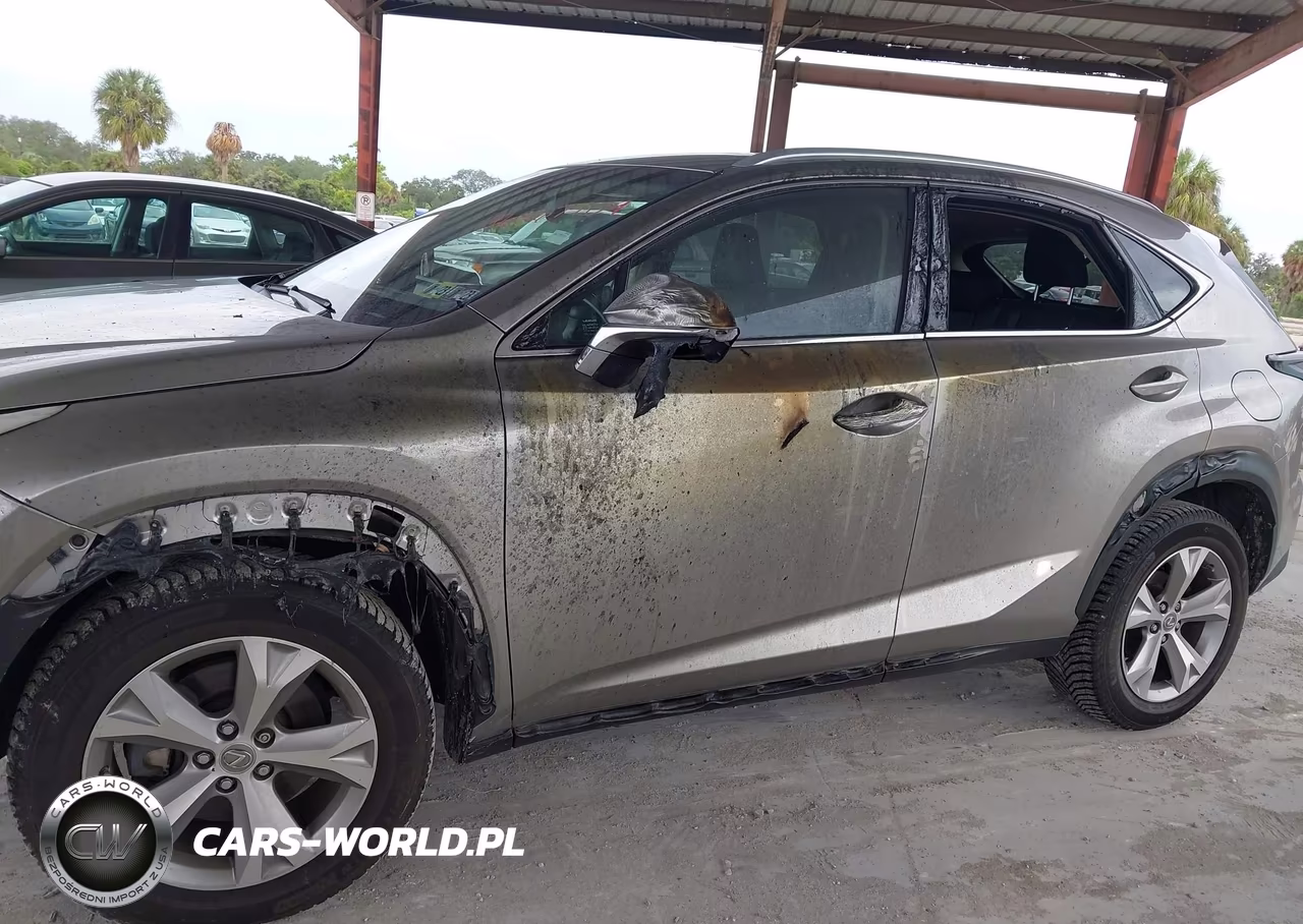 2017 Lexus Nx 200T VIN:JTJBARBZ4H2119575 - 6