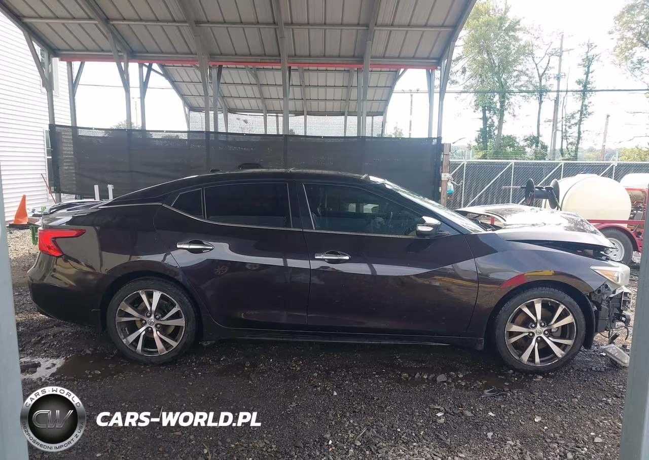 2016 Nissan Maxima 3.5 Platinum VIN:1N4AA6AP1GC422633 - 12