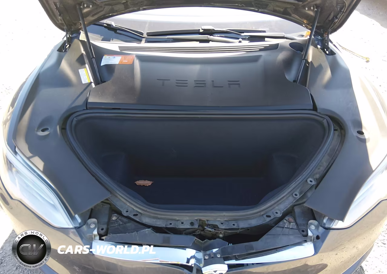 2016 Tesla Model S 60D-70D-75D-85D-90D VIN:5YJSA1E25GF158772 - 10