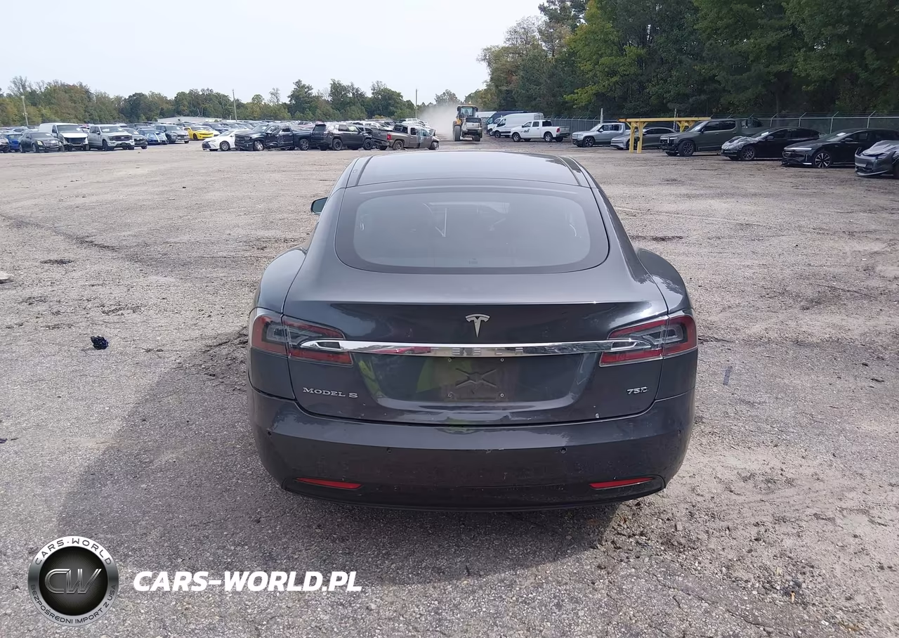 2016 Tesla Model S 60D-70D-75D-85D-90D VIN:5YJSA1E25GF158772 - 16