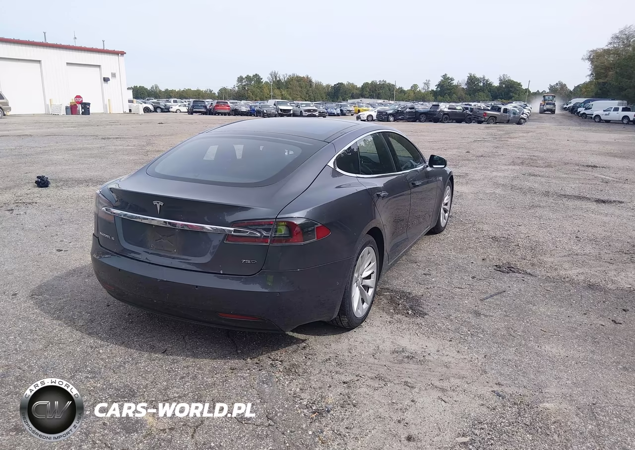 2016 Tesla Model S 60D-70D-75D-85D-90D VIN:5YJSA1E25GF158772 - 4