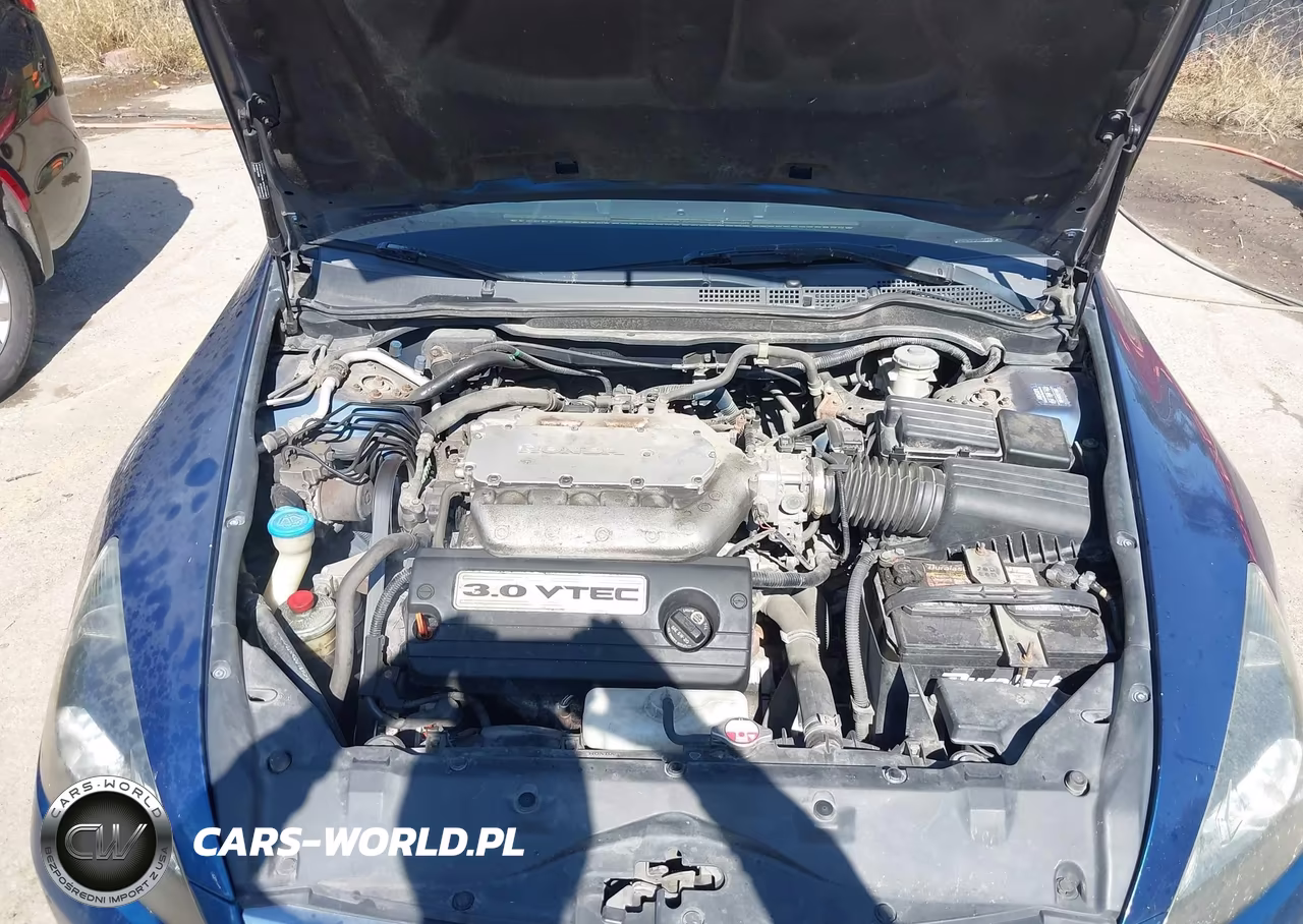 2006 Honda Accord 3.0 Ex VIN:1HGCM66546A045020 - 10