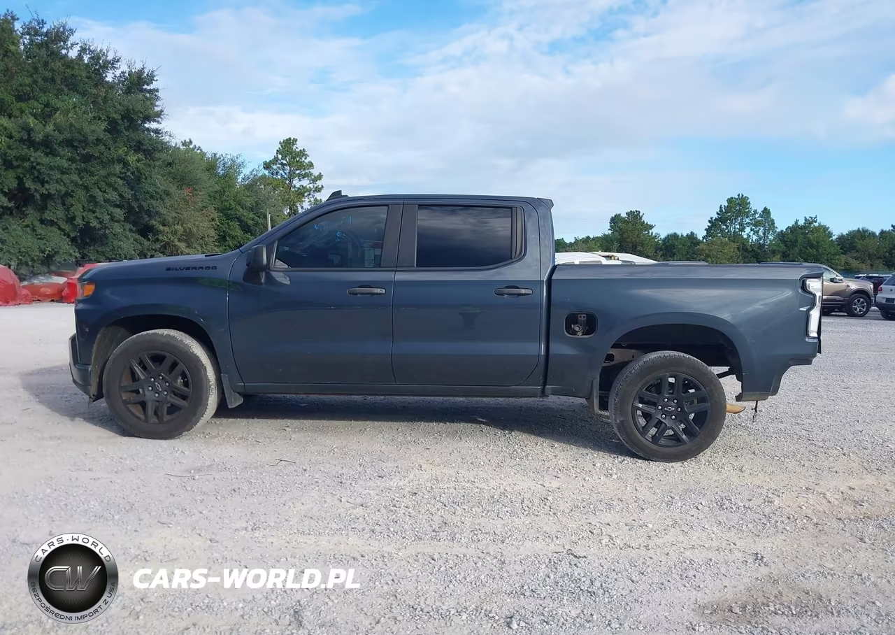 2022 Chevrolet Silverado 1500 Ltd 2Wd Short Bed Custom VIN:1GCPWBEK9NZ105951 - 14