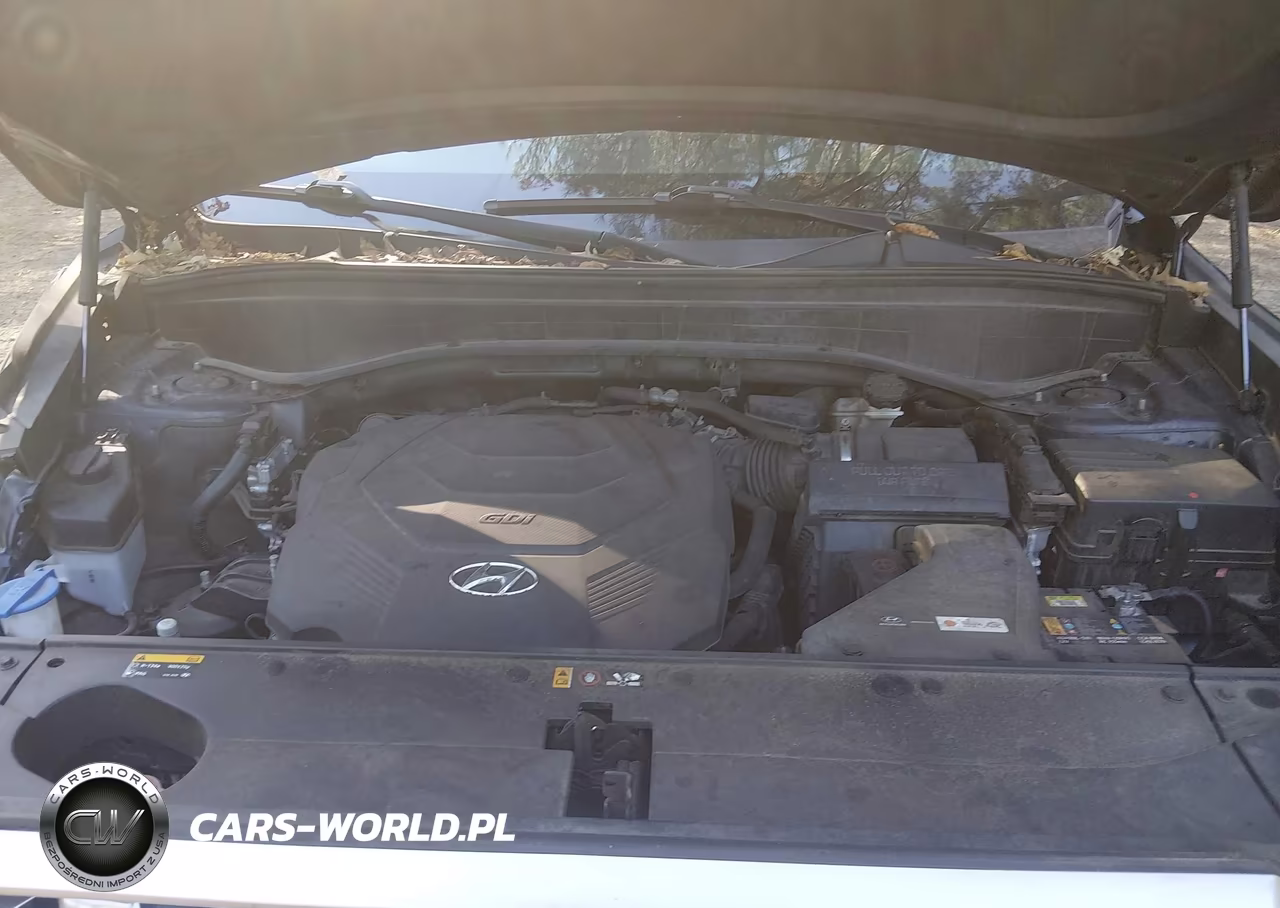 2020 Hyundai Palisade Sel VIN:KM8R44HE3LU061726 - 10