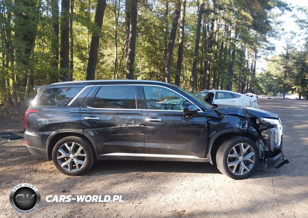 2020 Hyundai Palisade Sel VIN:KM8R44HE3LU061726 - 13