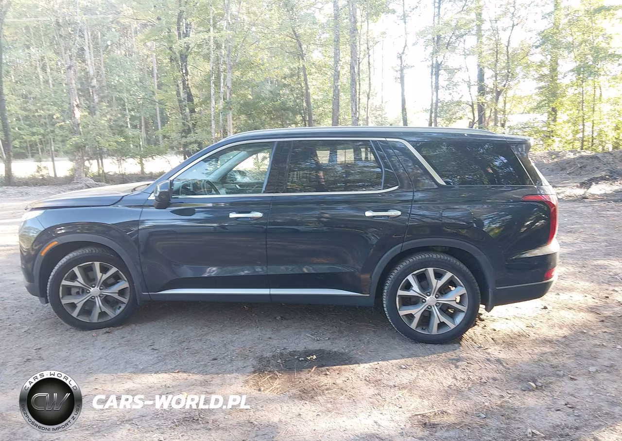 2020 Hyundai Palisade Sel VIN:KM8R44HE3LU061726 - 14
