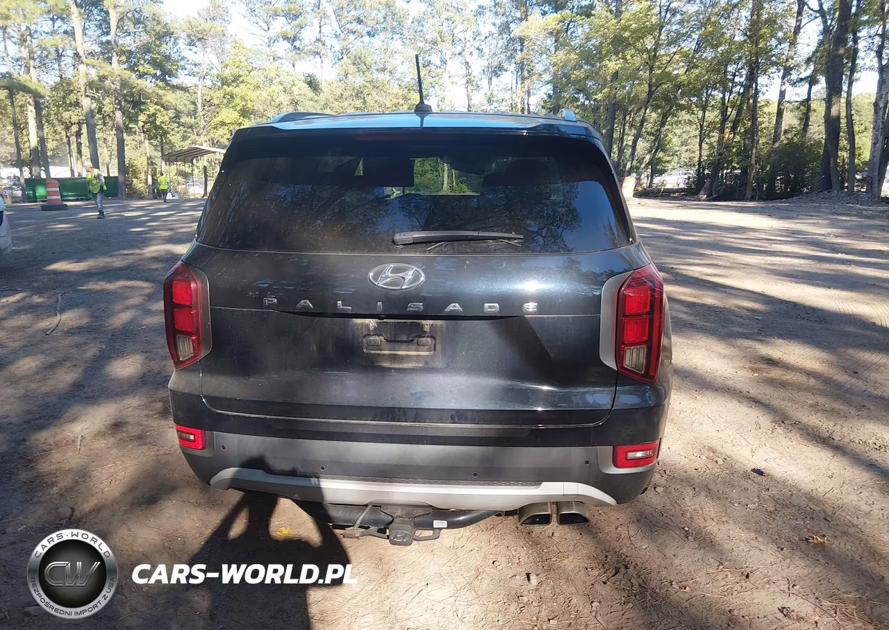 2020 Hyundai Palisade Sel VIN:KM8R44HE3LU061726 - 16