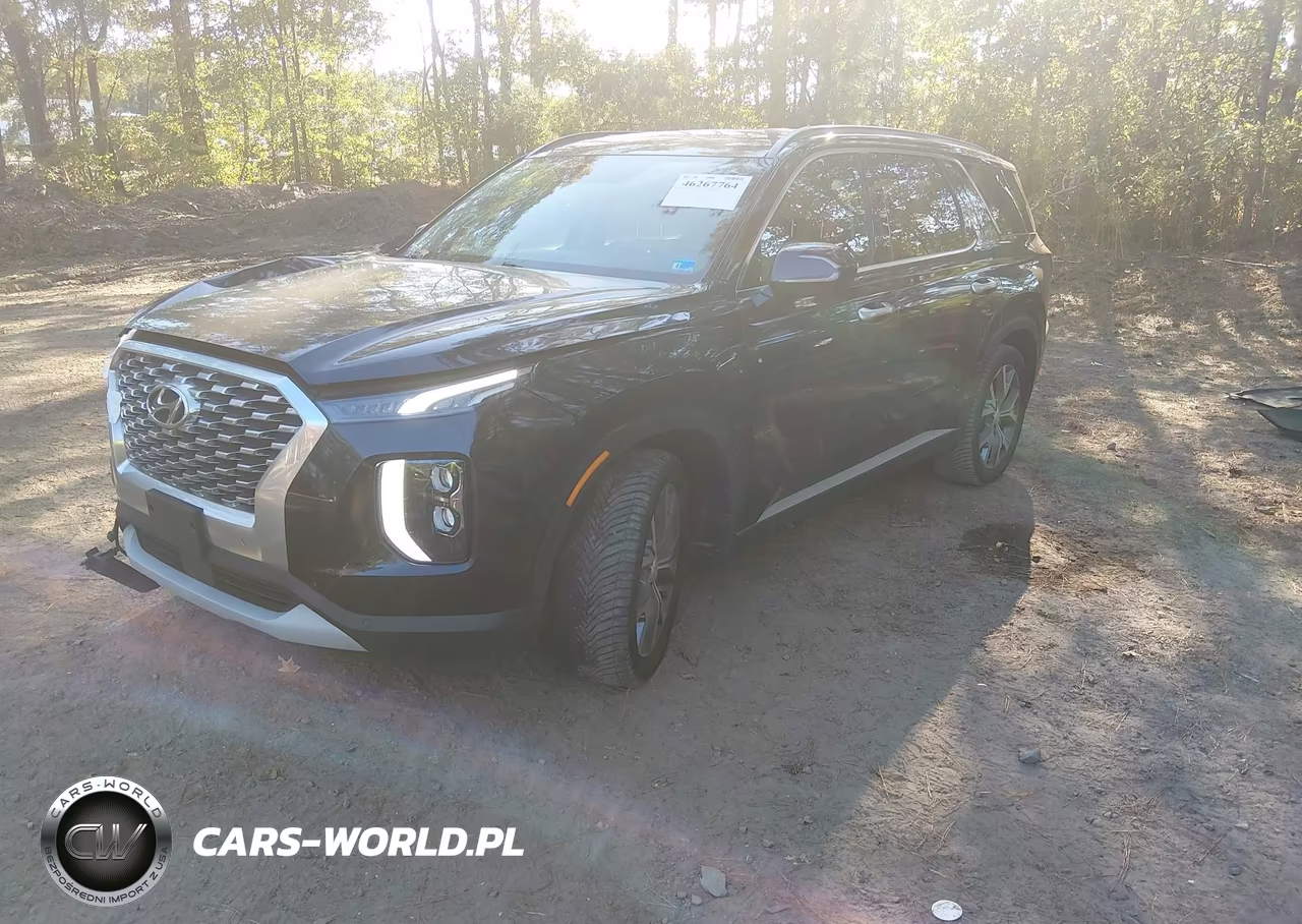 2020 Hyundai Palisade Sel VIN:KM8R44HE3LU061726 - 2