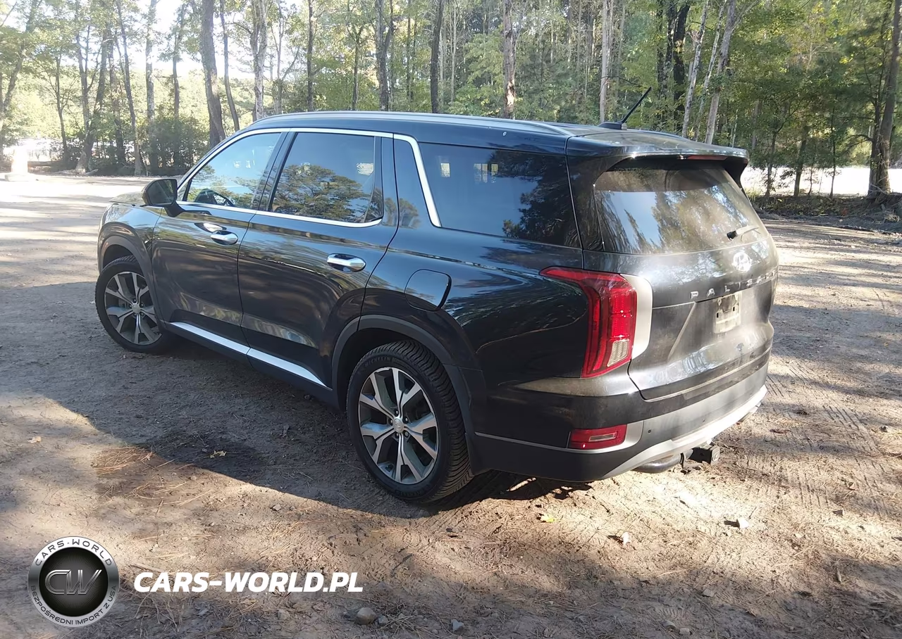 2020 Hyundai Palisade Sel VIN:KM8R44HE3LU061726 - 3