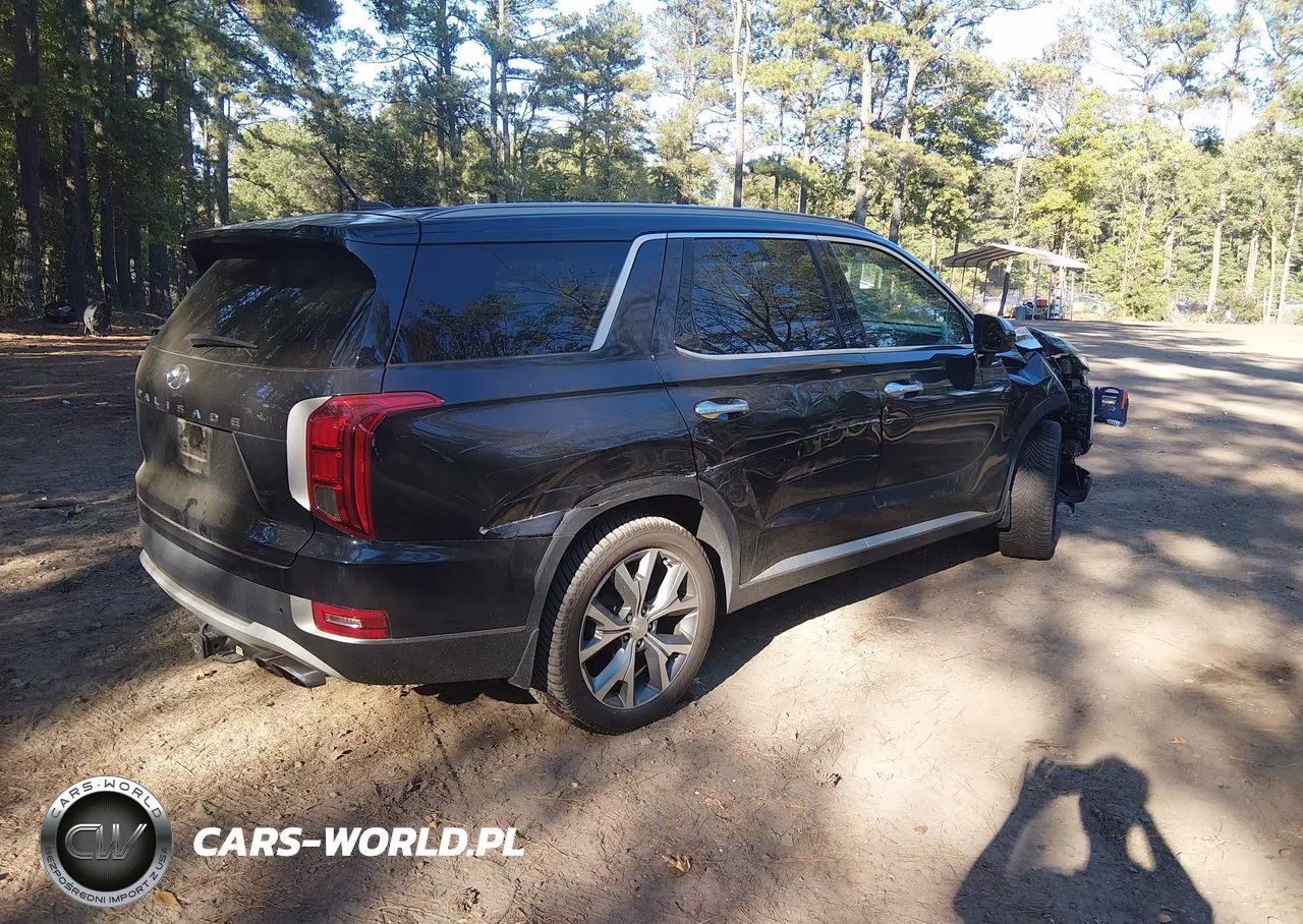 2020 Hyundai Palisade Sel VIN:KM8R44HE3LU061726 - 4